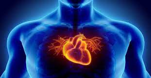 Dr Jose Jacob - From India to Florida, A Distinguished Journey in Cardiology